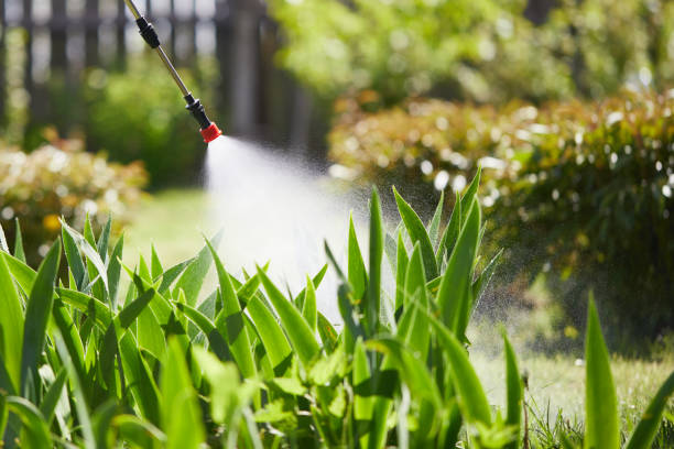 24/7 Emergency Mosquito Control experts in Halfway, MD