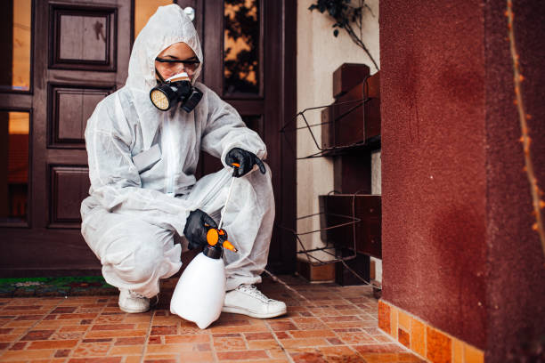 Reliable Mosquito Control contractor in Halfway, MD by Show Me Pest Control
